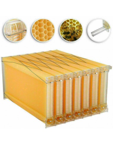 kit 7 pezzi telaini flusso miele innovativo sistema di prelievo del miele.