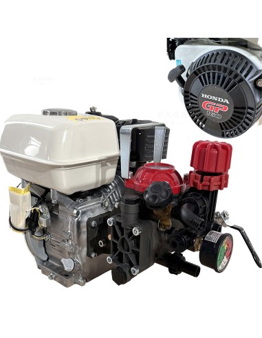 Motopompa Alta pressione AR 252 S con motore Honda GP 160 per agricoltura e trattamenti fitosanitari su piante
